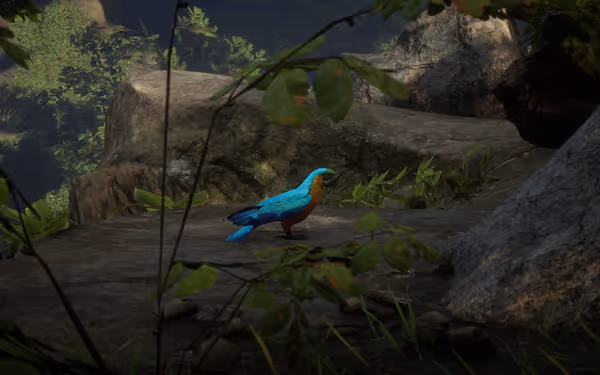 Blue and orange bird stands on rock in forest, surrounded by greenery.