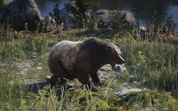 Bear walking on grass near rocks and water, surrounded by trees and plants.