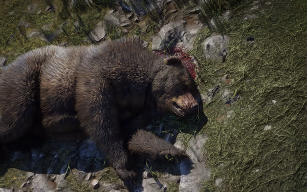 A dead bear lying on grass and rocks with blood near its head
