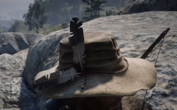 Hat with feathers on person's head, outdoors, rocky background, trees in distance.
