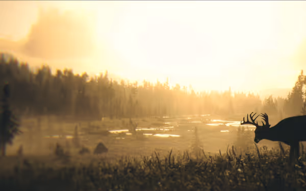 Deer standing in grassy field, forest, and sunset background.