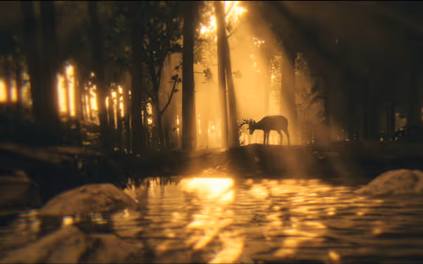 Sunlit forest with deer near water, trees, and rocks.