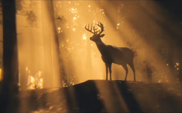 Deer stands on a hill in a sunlit forest with rays shining through trees.