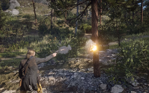 Person shooting revolver at tree in forest.