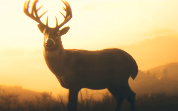 A deer with large antlers stands in a grassy field at sunset.