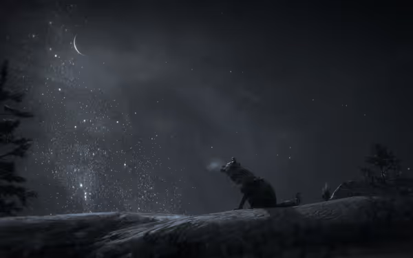 A lone wolf sits on a snowy hill under a crescent moon and stars.