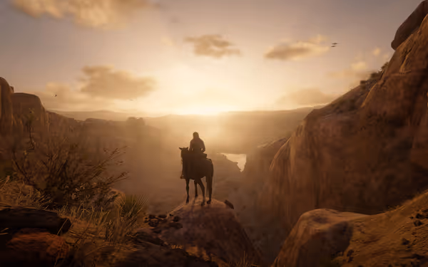A silhouette of a rider on horseback overlooks a canyon at sunset.