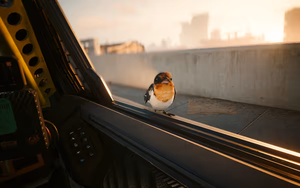 A small bird with orange and white feathers perches on a car window edge.