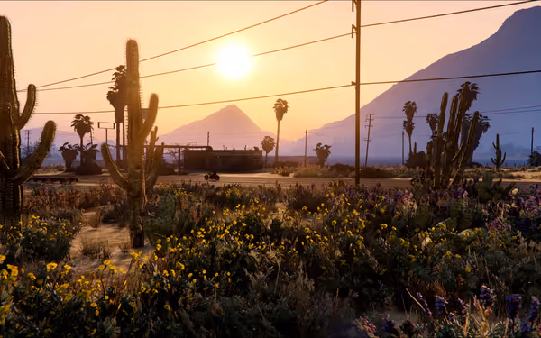 Tall cacti, wildflowers, and power lines frame a desert road beneath a setting sun.