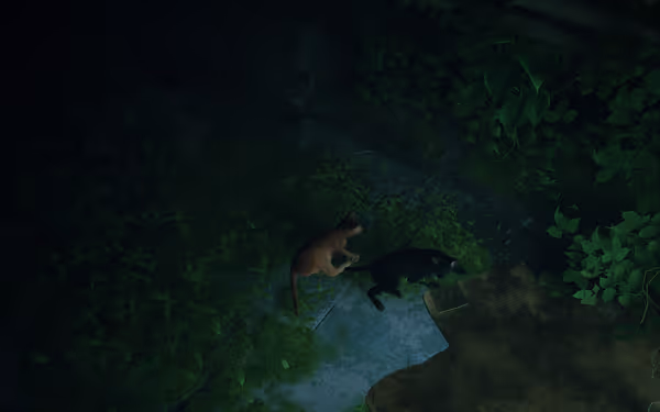 An orange cat and a black cat lie together on mossy ground under leafy plants.