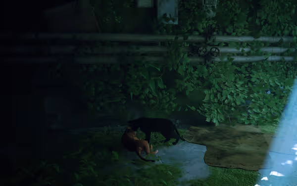 A black cat and an orange cat interact on mossy ground beside pipes and leafy vines.