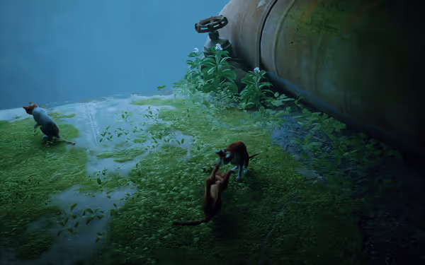 Two cats play on mossy concrete near a large rusty pipe, while another cat walks away.