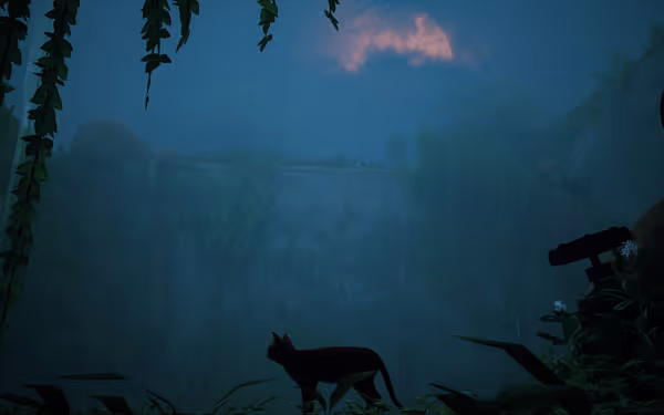 A black cat stands among leaves in the rain while a pink moon rises above.