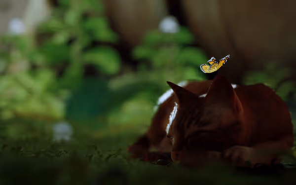 A cat sleeps on the grass while a yellow butterfly lands on its back.