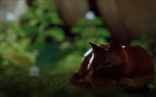 A sleeping cat rests on a grassy surface, surrounded by soft green plants and flowers.