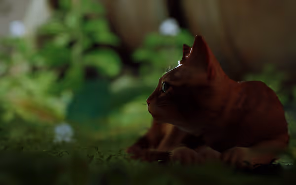 A cat lies in a grassy environment, staring ahead with focused eyes amidst green plants.
