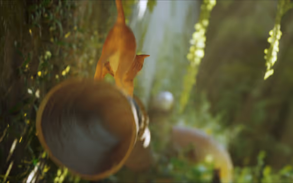 A small orange cat walks carefully along a narrow metal pipe outdoors.