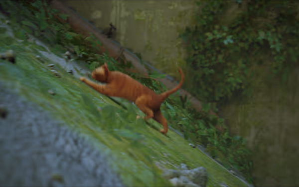 An orange cat sprints quickly down a sloped, overgrown concrete wall covered with plants.