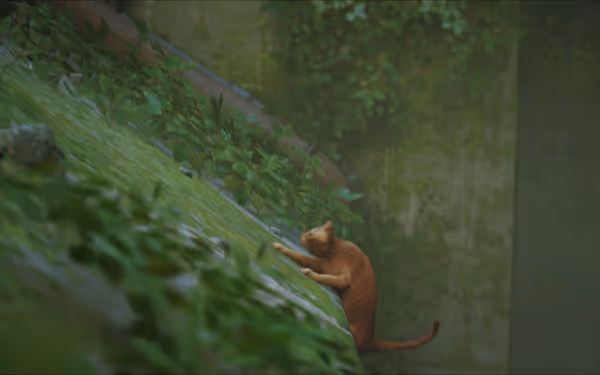 An orange cat slides awkwardly down a steep, mossy wall covered with plants and vines.