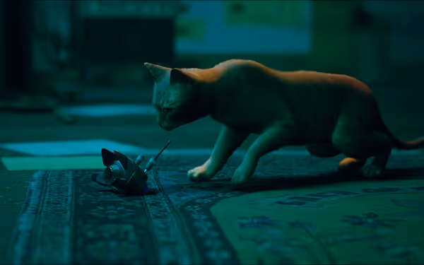 A cat investigates a small robotic device on a patterned rug.